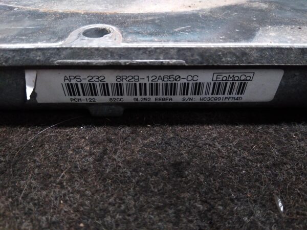 2010 FORD FALCON Ecu
