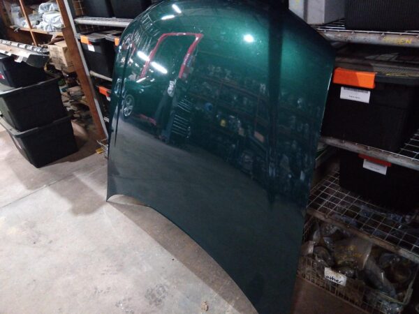 2002 FORD FALCON BONNET