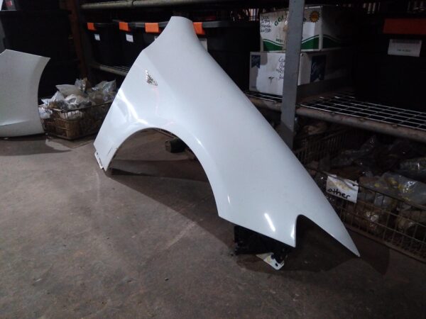 2010 FORD FALCON Right Guard
