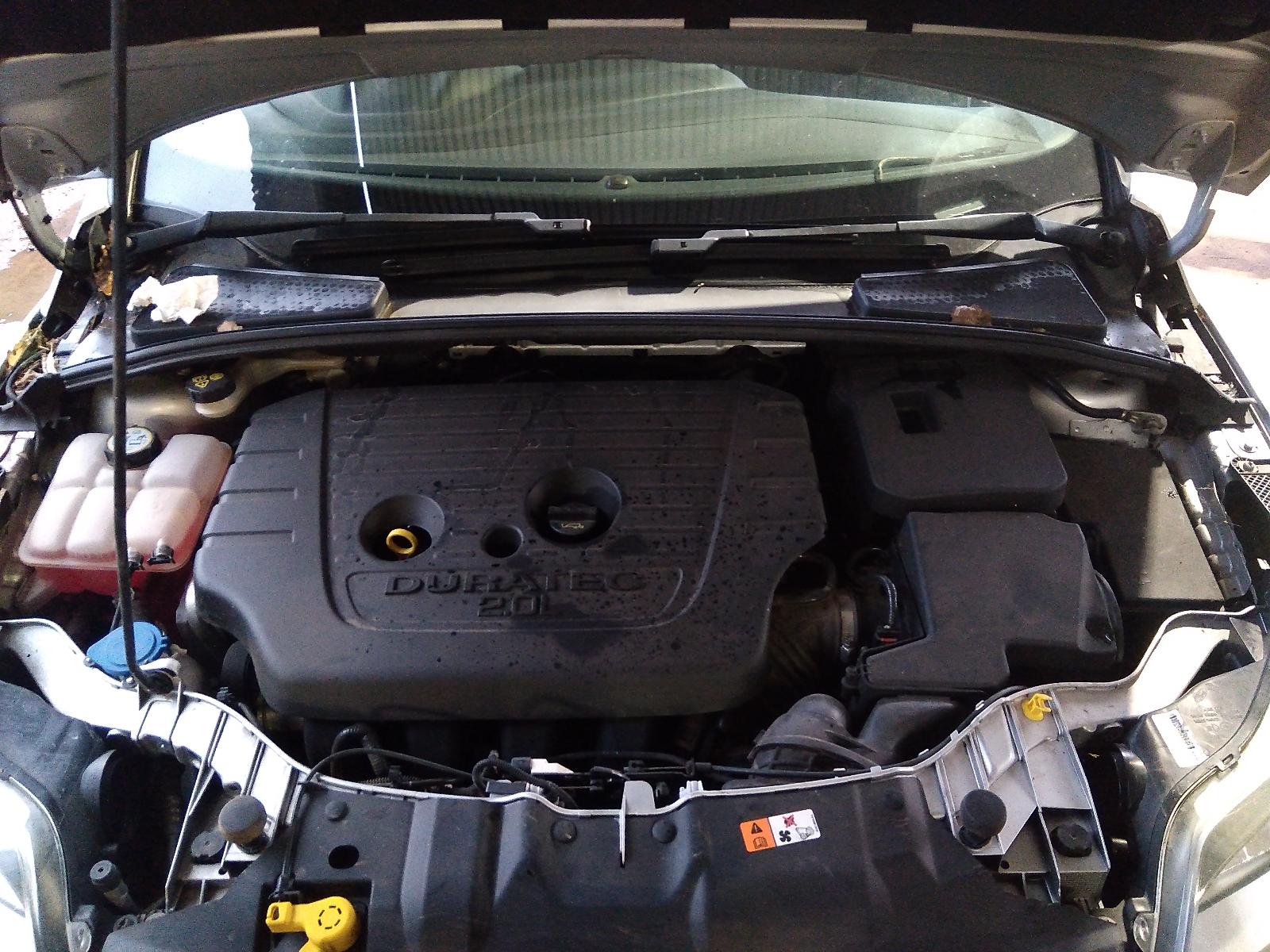 2012 Ford Focus Gas Tank
