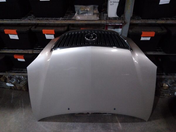 2006 LEXUS RX SERIES BONNET