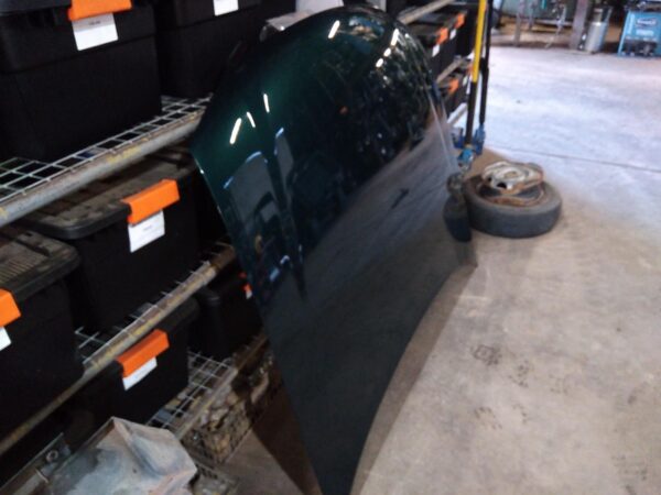 2002 FORD FALCON BONNET