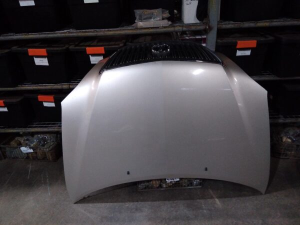 2006 LEXUS RX SERIES BONNET