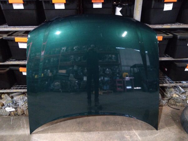 2002 FORD FALCON BONNET